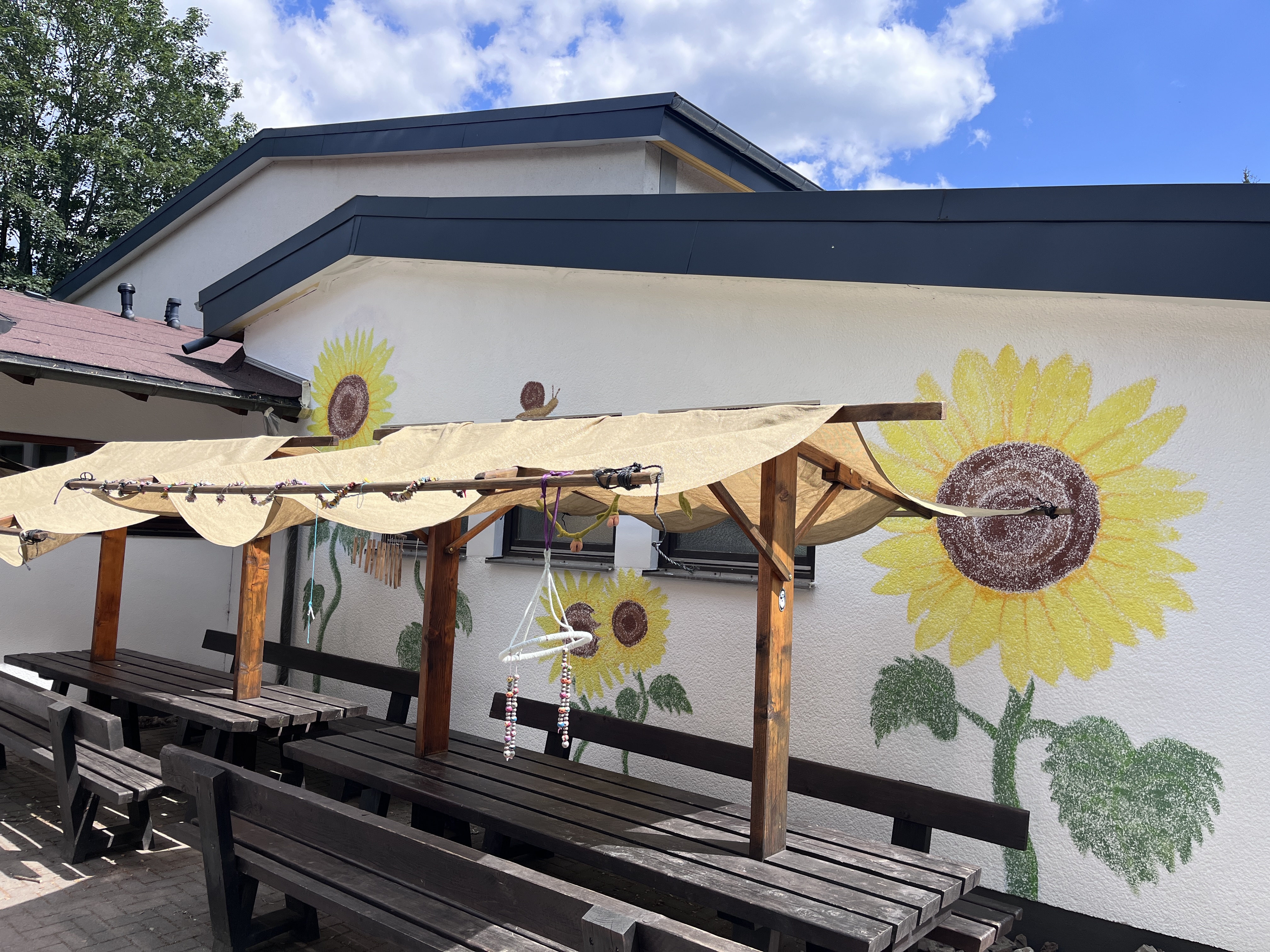 Sonnenblumen für Kindergarten