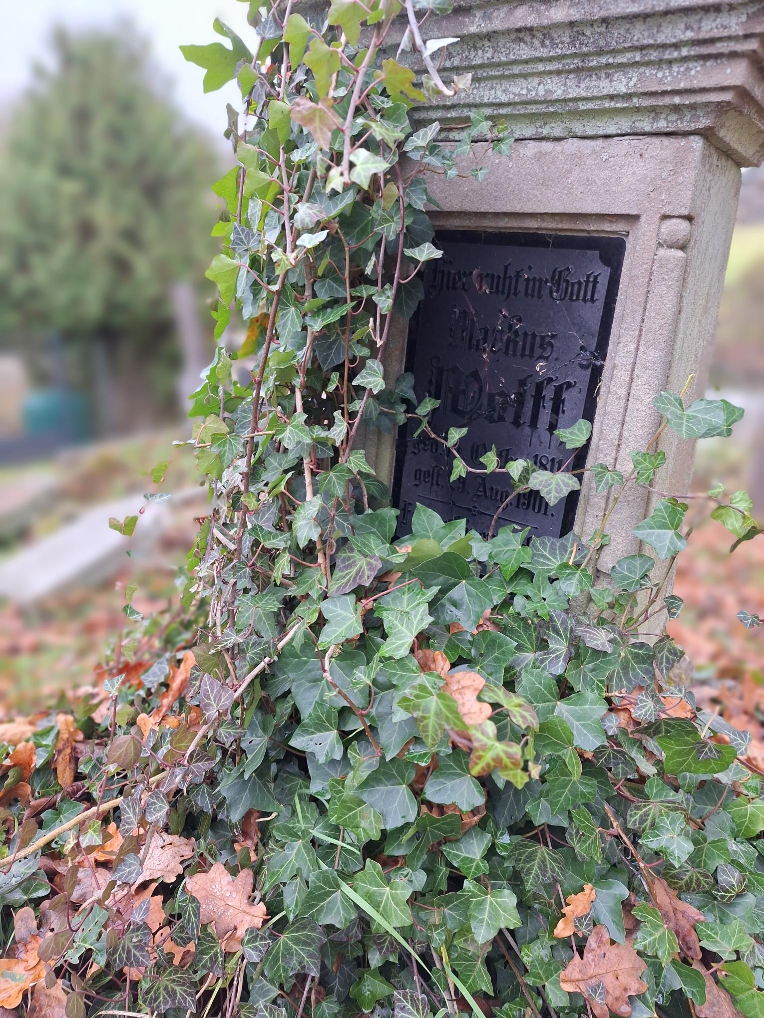 Stadtrundgang: Auf den Spuren des jüdischen Lebens